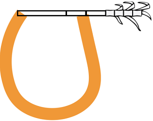 Thottil Kavadi Image